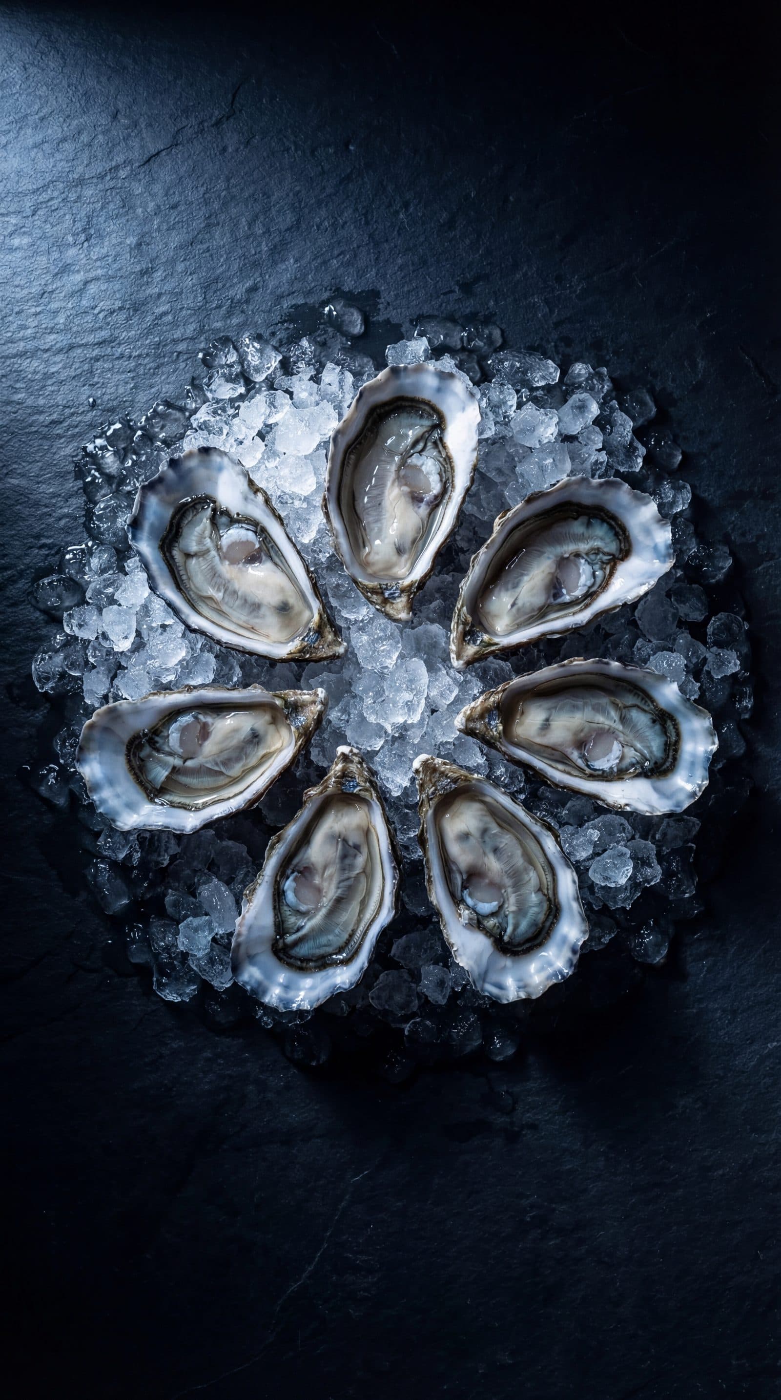 Fresh oysters on ice